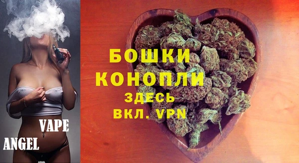 ПСИЛОЦИБИНОВЫЕ ГРИБЫ Арсеньев